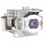 Viewsonic RLC-093 lampada per proiettore (RLC-093)