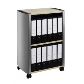 Durable 3103125 scatola per la conservazione di documenti Poliestere Antracite, Argento (3103125)