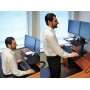 Ergotron Worksurface for WorkFit-S (97-581-019)