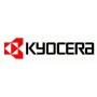KYOCERA 870LS97001 licenza per software/aggiornamento 1 licenza/e 1 anno/i (870LS97001)