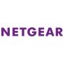 NETGEAR AVB4248PX-10000S licenza per software/aggiornamento 1 licenza/e 1 anno/i (AVB4248PX-10000S)