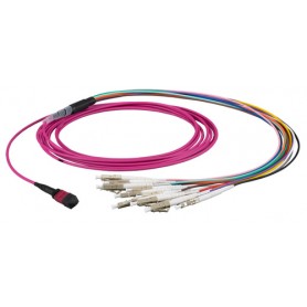 EFB Elektronik MTPF12LCOM4-3 cavo a fibre ottiche 3 m MTP 12x LC OM4 Porpora (MTPF12LCOM4-3)