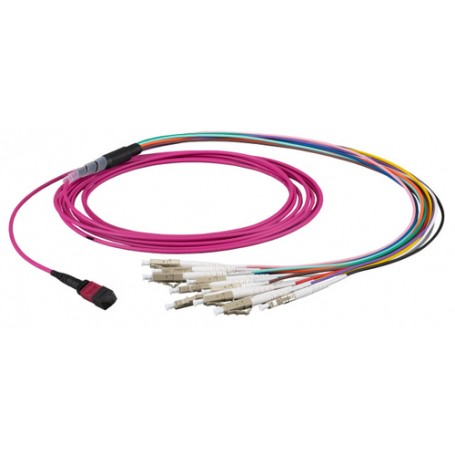 EFB Elektronik MTPF12LCOM4-3 cavo a fibre ottiche 3 m MTP 12x LC OM4 Porpora (MTPF12LCOM4-3)