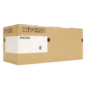 Ricoh D2589640 stampante di sviluppo 600000 pagine (D2589640)
