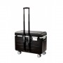 Parat 208.650-15101 portable device management cart& cabinet Carrello per la gestione dei dispositivi portatili  (208.650-15101)