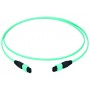 Telegärtner L00836A0019 cavo a fibre ottiche 25 m MPO OM3 Colore acqua (L00836A0019)