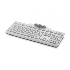 Fujitsu KB100 SCR tastiera USB Olandese Color marmo (S26381-K100-L131)