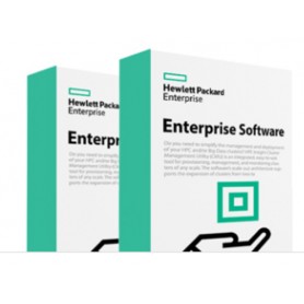 Hewlett Packard Enterprise XP7 Array Manager Plus Suite 1TB 101-250TB LTU Licenza (TK914BC)