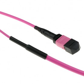 ACT DC5005 cavo a fibre ottiche 50 m MPO/MTP OM3/OM4 Viola (DC5005)