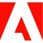 Adobe Substance Inglese (65317581BA01A12)