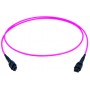 Telegärtner L00836A0048 cavo a fibre ottiche 80 m MPO OM4 Viola (L00836A0048)