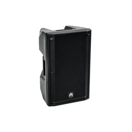 Omnitronic 11038795 altoparlante 2-vie Nero Con cavo e senza cavo 300 W (11038795)