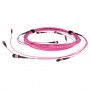 ACT DC5411 cavo a fibre ottiche 50 m MPO/MTP OM4 Viola (DC5411)