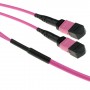 ACT DC5211 cavo a fibre ottiche 50 m 2x MPO OM4 Viola (DC5211)