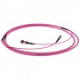 ACT DC5010 cavo a fibre ottiche 100 m MPO/MTP OM3/OM4 Viola (DC5010)