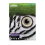 Epson C13S450283 carta da disegno Foglio d'arte 25 fogli (C13S450283)