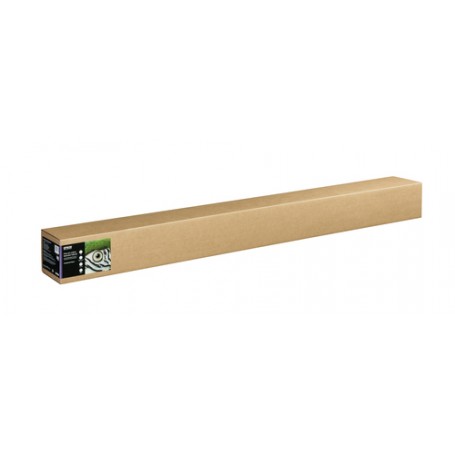 Epson C13S450280 carta da disegno Foglio d'arte 1 fogli (C13S450280)
