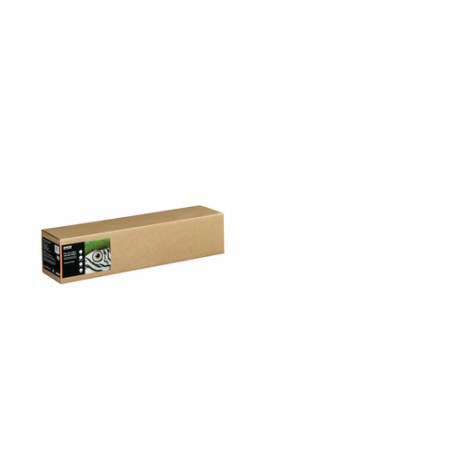 Epson C13S450285 carta da disegno Foglio d'arte 1 fogli (C13S450285)
