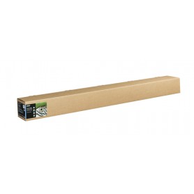 Epson C13S450266 carta da disegno Foglio d'arte 1 fogli (C13S450266)