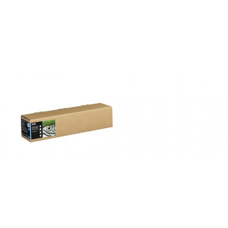 Epson C13S450264 carta da disegno Foglio d'arte 1 fogli (C13S450264)
