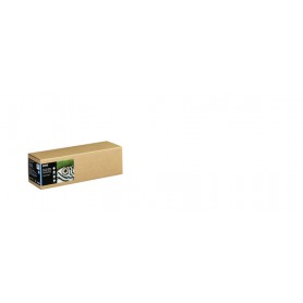 Epson C13S450263 carta da disegno Foglio d'arte 1 fogli (C13S450263)