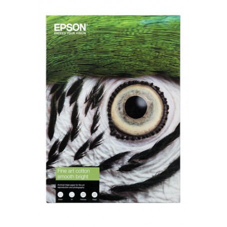 Epson C13S450276 carta da disegno Foglio d'arte 25 fogli (C13S450276)