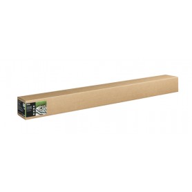 Epson C13S450273 carta da disegno Foglio d'arte 1 fogli (C13S450273)