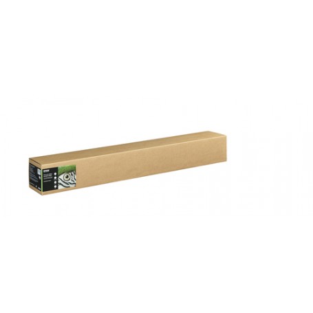 Epson C13S450272 carta da disegno Foglio d'arte 1 fogli (C13S450272)