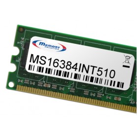 Memory Solution MS16384INT510 memoria 16 GB (MS16384INT510)