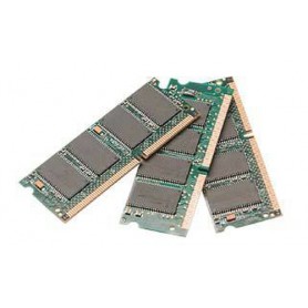 Fujitsu Mem 2GB DDR-RAM PC2700 ECC (2mod) memoria 333 MHz Data Integrity Check (verifica integrità dati) (S26361-F3127-L524)
