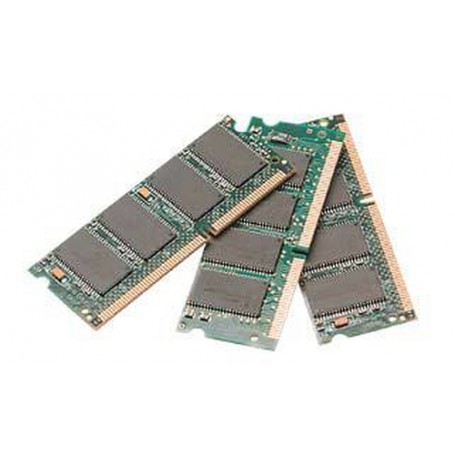 Fujitsu Mem 2GB DDR-RAM PC2700 ECC (2mod) memoria 333 MHz Data Integrity Check (verifica integrità dati) (S26361-F3127-L524)