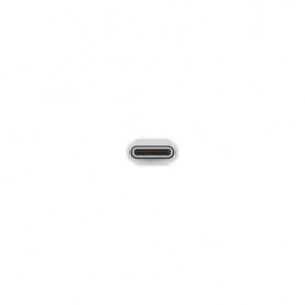 Apple Adattatore da USB-C a USB (MJ1M2ZM/A)