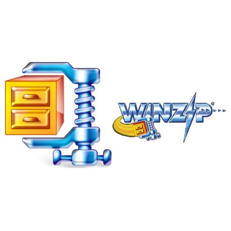 Corel WinZip 15 Standard, WIN, 2-9u, 2y, MNT 2 anno/i (LCWZSTDMLMNT2A)