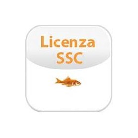 SOFTWARE SERVICE CREDIT (02-00023-002)