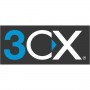 4SC PROFESSIONAL EDITION ANNUAL (3CXPSPROFSPLA12M4C)