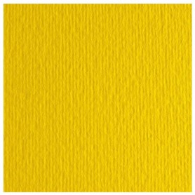 CF10 LR CEDRO-70X100 (46470125)