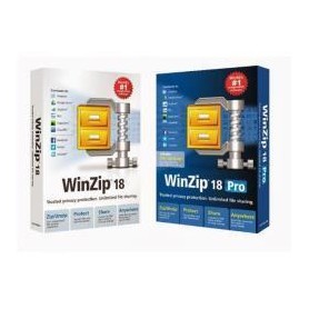 WINZIP ENT MAINT (1Y) ML 100-999 (LCWZENTMLMNT1C)
