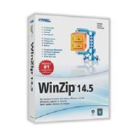 WINZIP PRO MAINT (2 Y) ML (2 - 9) (LCWZPROMLMNT2A)