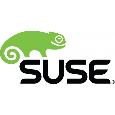 Suse Linux Enterprise Desktop, 1Y Client Access License (CAL) 1 licenza/e 1 anno/i (874-006868)