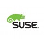 Suse Manager Monitoring, x86 & x86-64, 1Y Base 1 licenza/e 1 anno/i (874-006838)