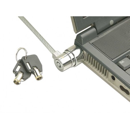 Lindy 20945 cavo di sicurezza 1,6 m (20945)
