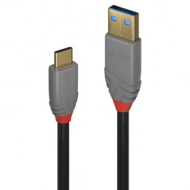 Lindy 36911 cavo USB 1 m USB C USB A Nero, Grigio (36911)