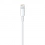 Apple Cavo da Lightning a USB (1 m) (MXLY2ZM/A)