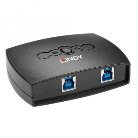 Lindy 43141 dati del computer switcher (43141)