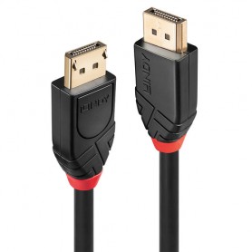 Lindy 41078 cavo DisplayPort 10 m Nero (41078-LND)