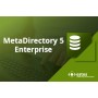 ESTOS MetaDirectory 5 Enterprise 5 licenza/e (2100060050)