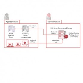 DLO WIN 100 USR LIC+ESS MAIN 12M GO (11874-M0010)