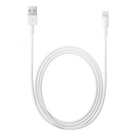 Apple Cavo da Lightning a USB (2 m) (MD819ZM/A)