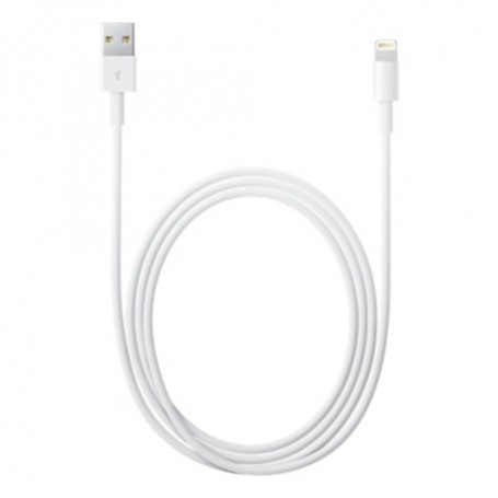 Apple Cavo da Lightning a USB (2 m) (MD819ZM/A)