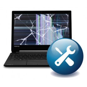 Dynabook OOWO100EU-VC estensione della garanzia (OOWO100EU-VC)